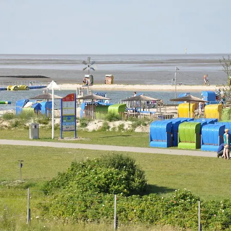 Robbenplate ,rob5 Butjadingen